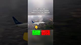 Do I land now or I go around OFFENSIVE VIDEO funny sad memes aviation boeing landing shorts [upl. by Lachus635]