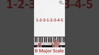 Learn Scales the B Major Scale [upl. by Vanna]