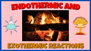 Endothermic and Exothermic Reactions  Chemical Reactions  Energy Changes [upl. by Alyose]