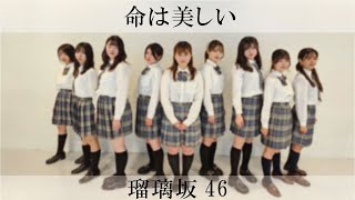 【踊ってみた】命は美しい 乃木坂46【瑠璃坂46】 [upl. by Suoivatnom]