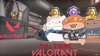 Saturday night Chill stream  Valorant LIVE [upl. by Alicec790]