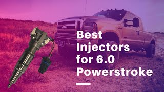 Best Injectors for 60 Powerstroke  Top 5 Injectors of 2020 [upl. by Welcy271]