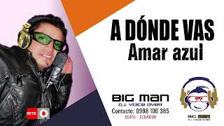 A DÓNDE VAS  AMAR AZUL bigmandjmusic [upl. by Arrat711]