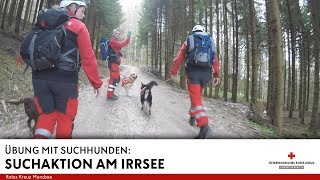 Suchaktion am Irrsee  Zwei vermisste Jugendliche in Zell am Moos  Einsatz Übung [upl. by Warrenne]