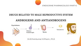 Androgens and Antiandrogens Reproductive hormonesEndoPart6 [upl. by Ramoj]