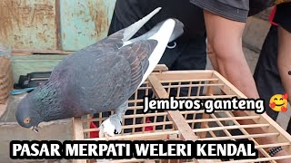 Grebek pasar merpati Weleri Kendal  ketemu penjual legendaris 26 tahun berjualan merpati [upl. by Atteve324]