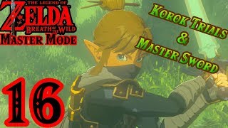 Zelda BotW MASTER MODE 16  Korok Trials amp Master Sword [upl. by Madelaine723]