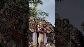 Balinese Ceremonies in Ubud [upl. by Akeit]