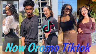 😁 New afaan oromo tiktok video haaraa torban kana 2022 TikTok oromo oromomusic competition [upl. by Anahsohs21]