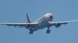 CAA HiFly Malta Airbus A330300 9HHFI  La Réunion [upl. by Daria719]