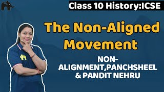 The NonAligned Movement Class 10 ICSE History  Selina Chapter 16  Factors NAM Panchsheel [upl. by Farland267]