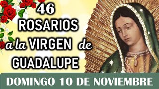 46 Rosarios a la Santísima Virgen de Guadalupe Domingo 10 de Noviembre Dia 14 💐Misterios Gloriosos [upl. by Elin220]