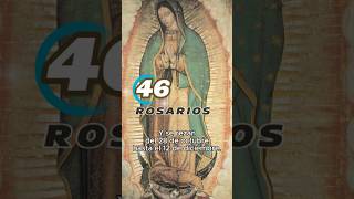 46 Rosarios Origen virgendeguadalupe 46rosarios fe iglesiacatolica virgenmaria [upl. by Kelda984]