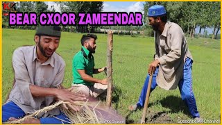 zameendar bear cxoor  kashmiri kalkharabs [upl. by Teeter]