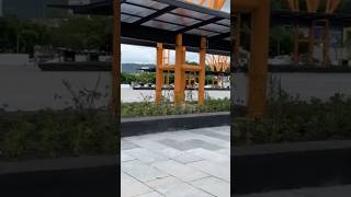 Enredaderas en el parque bicentenario 🇲🇽 Tuxtla Gutiérrez Chiapas [upl. by Woolcott]