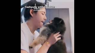 taehyung and yeontan  jungkook and bam 💜💜💜💜🙈🙈🙈🙈🙈💜💜💜💜💜💓 [upl. by Leahcimnoj672]