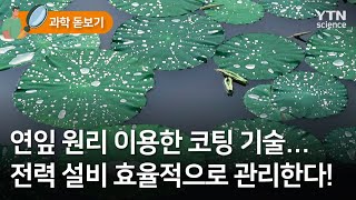 과학돋보기 연잎 원리 이용한 코팅 기술…전력 설비 효율적으로 관리한다  YTN 사이언스 [upl. by Nommad273]