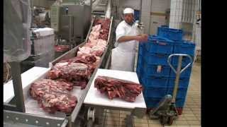 Salami Processing Line with Cutter [upl. by Bortman776]