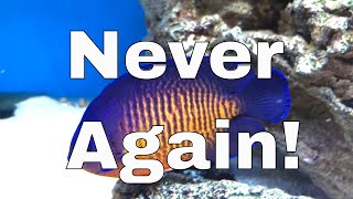 5 Saltwater Fish I Regret Buyingand Why [upl. by Martine]