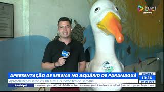 APRESENTAÇÃO DE SEREIAS NO AQUÁRIO DE PARANAGUÁ [upl. by Issak]