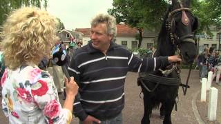 Paardenmarkt Rijnsburg 2013 [upl. by Anwad]