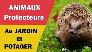 Les Animaux Qui Protègent le Jardin des Nuisibles [upl. by Lexerd]