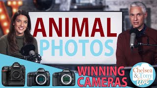 Winners Cameras Animal Photo Review and QampA TC LIVE [upl. by Hidie]