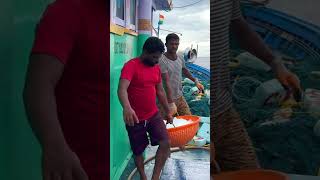 We Helped The Boat By Giving It Ice In The Deep Sea Shorts IndianOcean fishing [upl. by Acilegna]