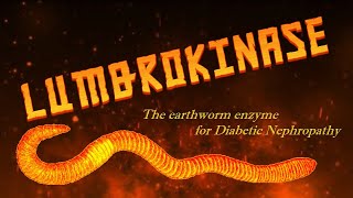 Lumbrokinase The earthworm enzyme for Diabetic Nephropathy [upl. by Enad636]