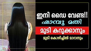 ഇനി Dye വേണ്ടാ ഷാമ്പൂ മതി മുടി കറുക്കാനും മുടി കൊഴിച്ചിൽ മാറാനും  Shampoo for Hair Blackening [upl. by Desireah]