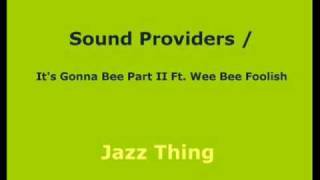 Sound Providers  Its Gonna Bee Part II Ft Wee Bee Foolish [upl. by Debbi]