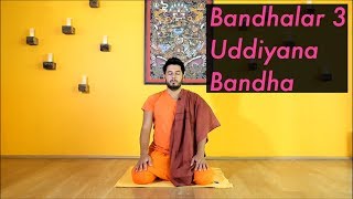 Uddiyana Bandha  Karın Kilidi Pranayama Çalışması [upl. by Maleeny618]