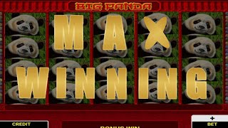 BIG PANDA SLOTS BIG WIN CASINO 😱 MAX WINNING تعلم الصبر يجيب [upl. by Alokin]