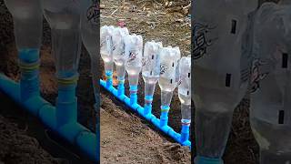 Drip Irrigation System shorts shortsfeed irrigation [upl. by Ivets]