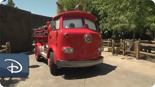 ‘Cars motoring around Cars Land  Disney California Adventure Park [upl. by Hanan]