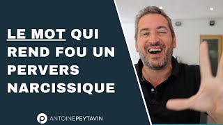 LE mot qu’un pervers narcissique ne supporte pas [upl. by Inihor498]