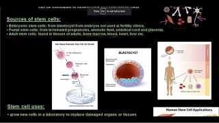 Gr 12 Life Sciences Genetics and Inheritance Part 10 Genetic Engineering [upl. by Eidnim]