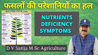 Nutrients Deficiency in Plants  Micronutrients  Macronutrients [upl. by Kyriako]