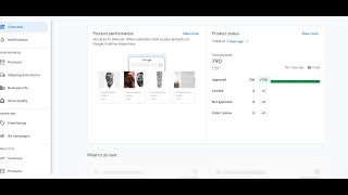 Google Merchant Center Live Product Upload With Content API or Google Channel  Plus Base Store 2024 [upl. by Eiltan]