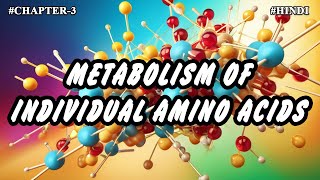 Chapter  3  Metabolism Of Individual Amino Acids Part3  Hindi [upl. by Yelrebma]