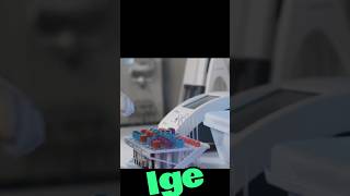 what is IGE immunoglobulin E IGE [upl. by Madoc]