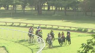 CHOTIPARI with K Sai Kiran up wins The Dennis amp Yvonne Jarvis Memorial Trophy Div3 2024 RACE 21 [upl. by Attenal513]