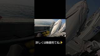 【スロージギング】ワラサを釣って昆布締めにしたら旨すぎたshorts スロージギング 料理 ずん飯 釣り fishing [upl. by Aekan]