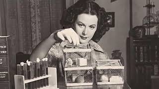 Wireless Pioneer Recognition of Hedy Lamarr [upl. by Akelahs]