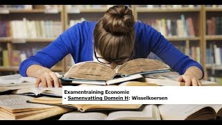 Examentraining Economie Samenvatting Domein H  22 Wisselkoersen [upl. by Sainana478]