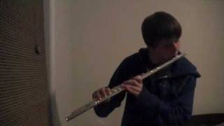 Attempt My house flute beatbox [upl. by Ecenahs889]