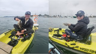 🤘🤘🤘SAN DIEGO FISHING🤘🤘🤘fishing kayakfishing sandiego sandiegofishing halibut halibutfishing [upl. by Ecitsuj]