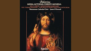 Palestrina Canticum Canticorum quotThe Song of Songsquot XXIII Quae est ista quae progreditur [upl. by Valdemar]