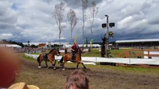 Titanen der Rennbahn 2017  Brück  3 Pferd Reiter verloren [upl. by Ferdie30]