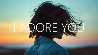 HUGEL x Topic x Arash  I Adore You Lyrics feat Daecolm [upl. by Leahicm]